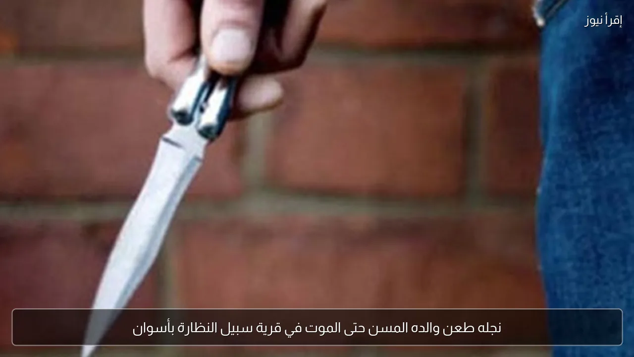 نجله طعن والده المسن حتى الموت في قرية سبيل النظارة بأسوان