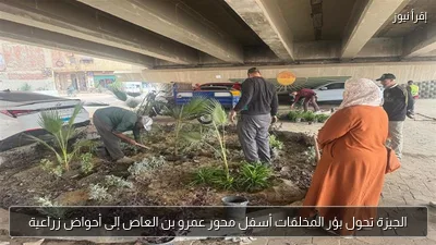 الجيزة تحول بؤر المخلفات أسفل محور عمرو بن العاص إلى أحواض زراعية