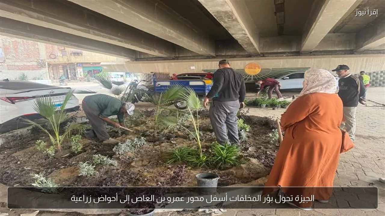 الجيزة تحول بؤر المخلفات أسفل محور عمرو بن العاص إلى أحواض زراعية