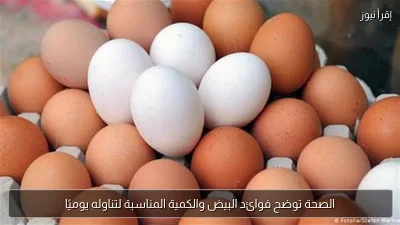 الصحة توضح فوائد البيض والكمية المناسبة لتناوله يوميًا