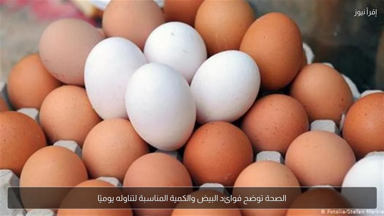 الصحة توضح فوائد البيض والكمية المناسبة لتناوله يوميًا