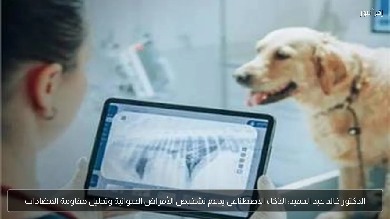 الدكتور خالد عبد الحميد: الذكاء الاصطناعي يدعم تشخيص الأمراض الحيوانية وتحليل مقاومة المضادات