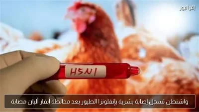 واشنطن تسجل إصابة بشرية بإنفلونزا الطيور بعد مخالطة أبقار ألبان مصابة