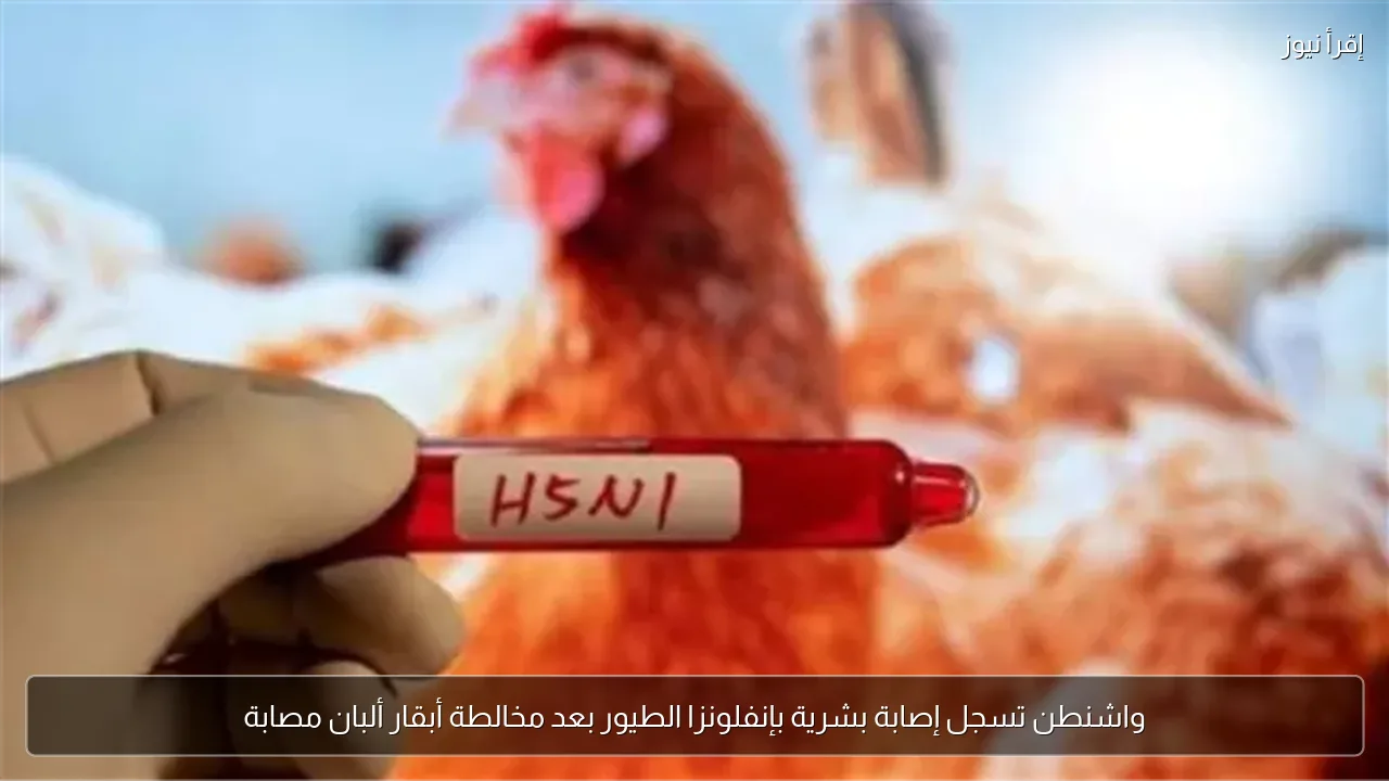 واشنطن تسجل إصابة بشرية بإنفلونزا الطيور بعد مخالطة أبقار ألبان مصابة