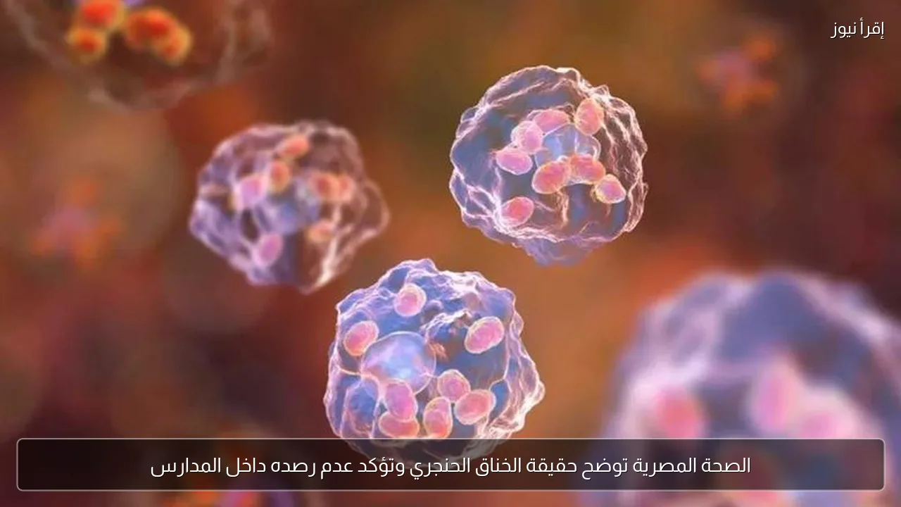 الصحة المصرية توضح حقيقة الخناق الحنجري وتؤكد عدم رصده داخل المدارس