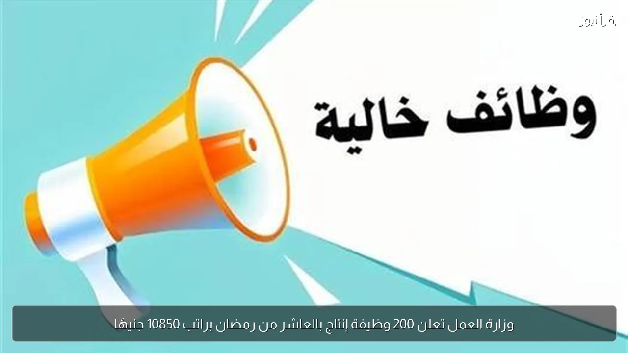 وزارة العمل تعلن 200 وظيفة إنتاج بالعاشر من رمضان براتب 10850 جنيهًا