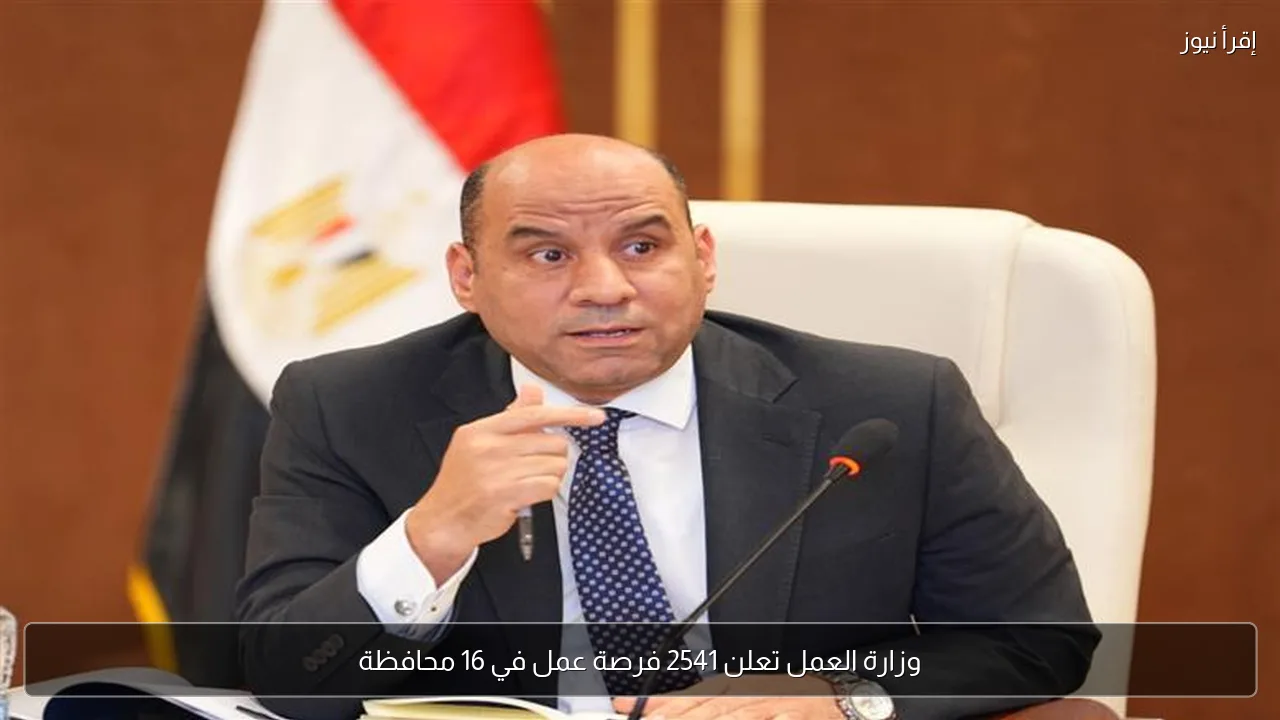 وزارة العمل تعلن 2541 فرصة عمل في 16 محافظة