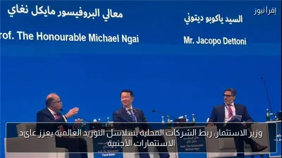 وزير الاستثمار: ربط الشركات المحلية بسلاسل التوريد العالمية يعزز عائد الاستثمارات الأجنبية