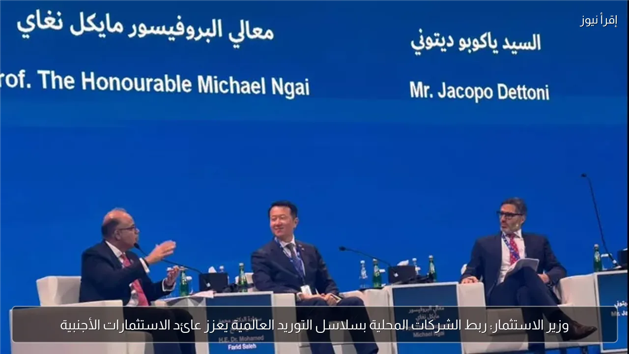 وزير الاستثمار: ربط الشركات المحلية بسلاسل التوريد العالمية يعزز عائد الاستثمارات الأجنبية