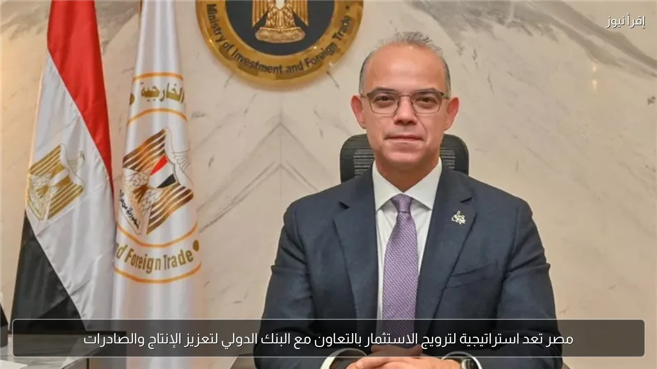 مصر تعد استراتيجية لترويج الاستثمار بالتعاون مع البنك الدولي لتعزيز الإنتاج والصادرات