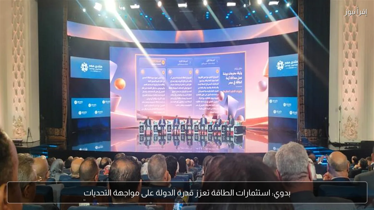 بدوي: استثمارات الطاقة تعزز قدرة الدولة على مواجهة التحديات