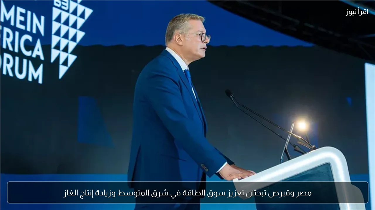 مصر وقبرص تبحثان تعزيز سوق الطاقة في شرق المتوسط وزيادة إنتاج الغاز