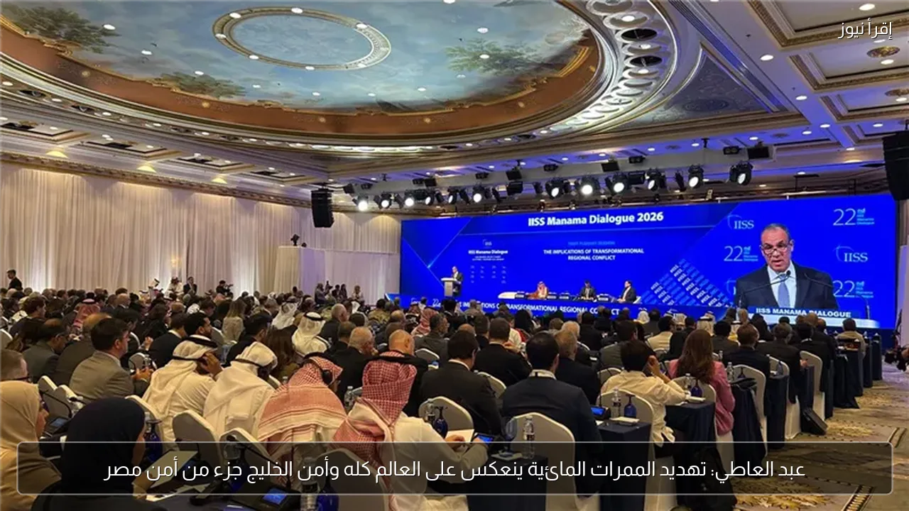 عبد العاطي: تهديد الممرات المائية ينعكس على العالم كله وأمن الخليج جزء من أمن مصر