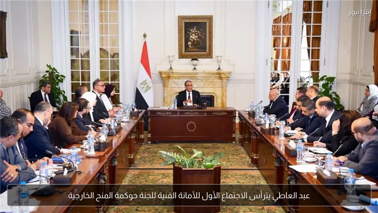 عبد العاطي يترأس الاجتماع الأول للأمانة الفنية للجنة حوكمة المنح الخارجية