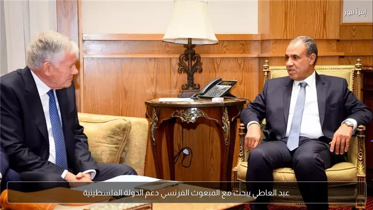 عبد العاطي يبحث مع المبعوث الفرنسي دعم الدولة الفلسطينية