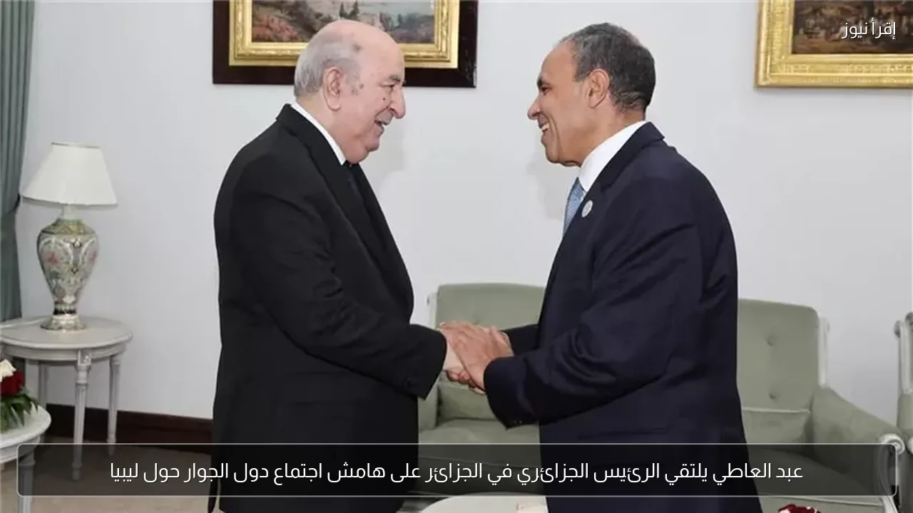 عبد العاطي يلتقي الرئيس الجزائري في الجزائر على هامش اجتماع دول الجوار حول ليبيا
