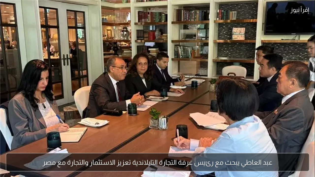 عبد العاطي يبحث مع رئيس غرفة التجارة التايلاندية تعزيز الاستثمار والتجارة مع مصر