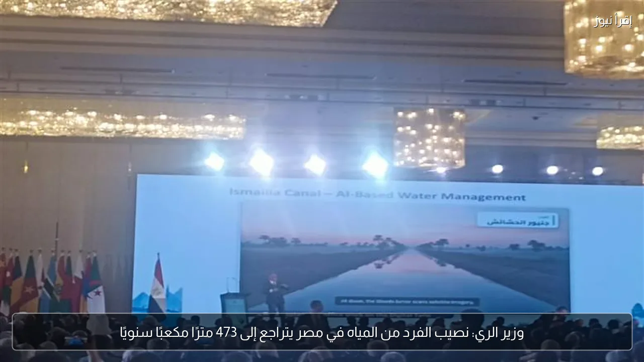 وزير الري: نصيب الفرد من المياه في مصر يتراجع إلى 473 مترًا مكعبًا سنويًا
