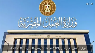 وزارة العمل تعلن طرح 6349 فرصة عمل في 46 شركة بـ11 محافظة