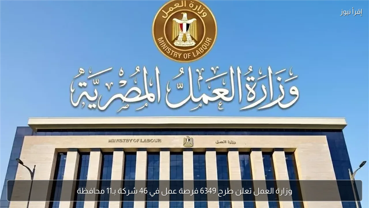 وزارة العمل تعلن طرح 6349 فرصة عمل في 46 شركة بـ11 محافظة