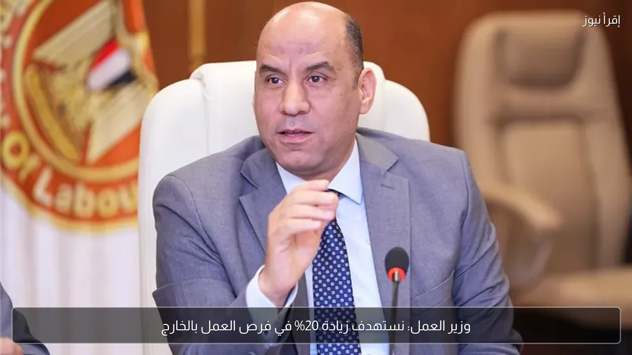 وزير العمل: نستهدف زيادة 20% في فرص العمل بالخارج