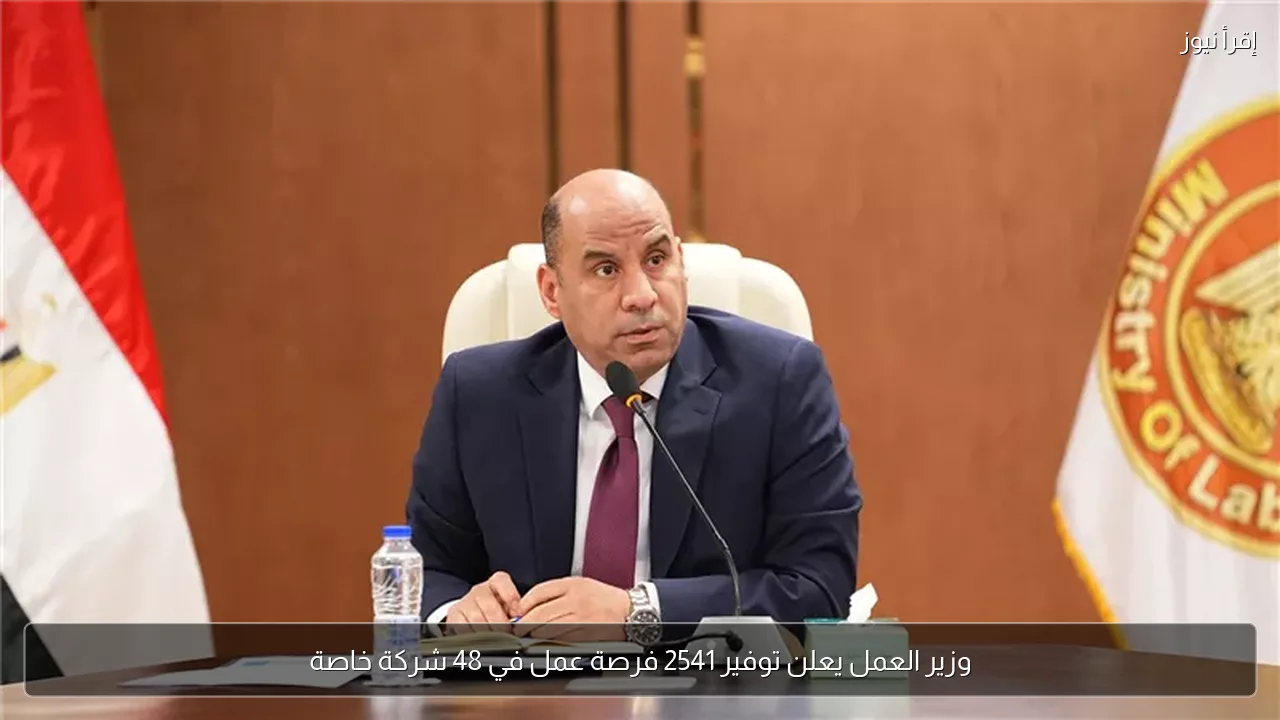 وزير العمل يعلن توفير 2541 فرصة عمل في 48 شركة خاصة