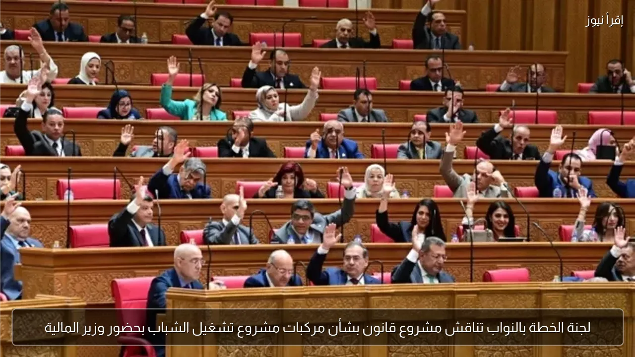 لجنة الخطة بالنواب تناقش مشروع قانون بشأن مركبات مشروع تشغيل الشباب بحضور وزير المالية
