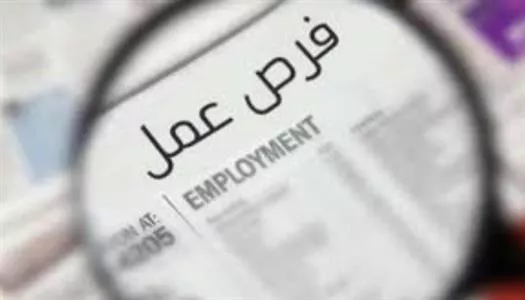 وظائف الضبعة النووية 2026