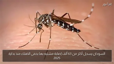 السودان يسجل أكثر من 63 ألف إصابة مشتبه بها بحمى الضنك منذ بداية 2025