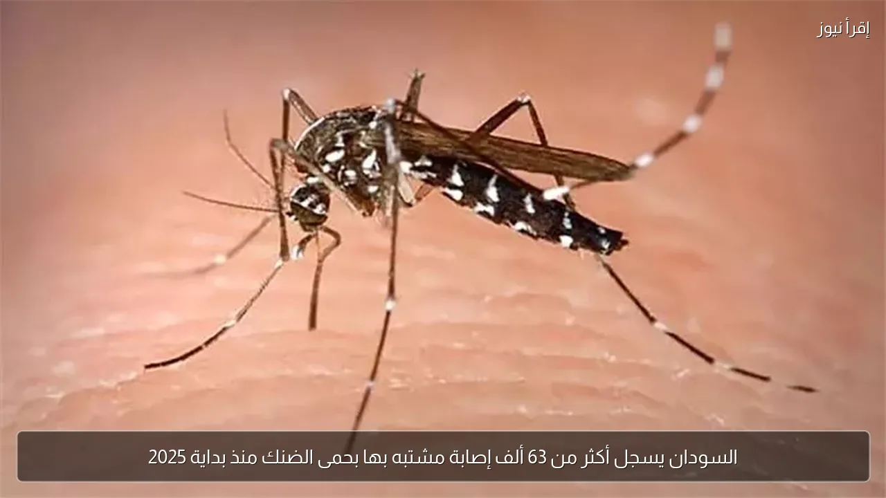 السودان يسجل أكثر من 63 ألف إصابة مشتبه بها بحمى الضنك منذ بداية 2025