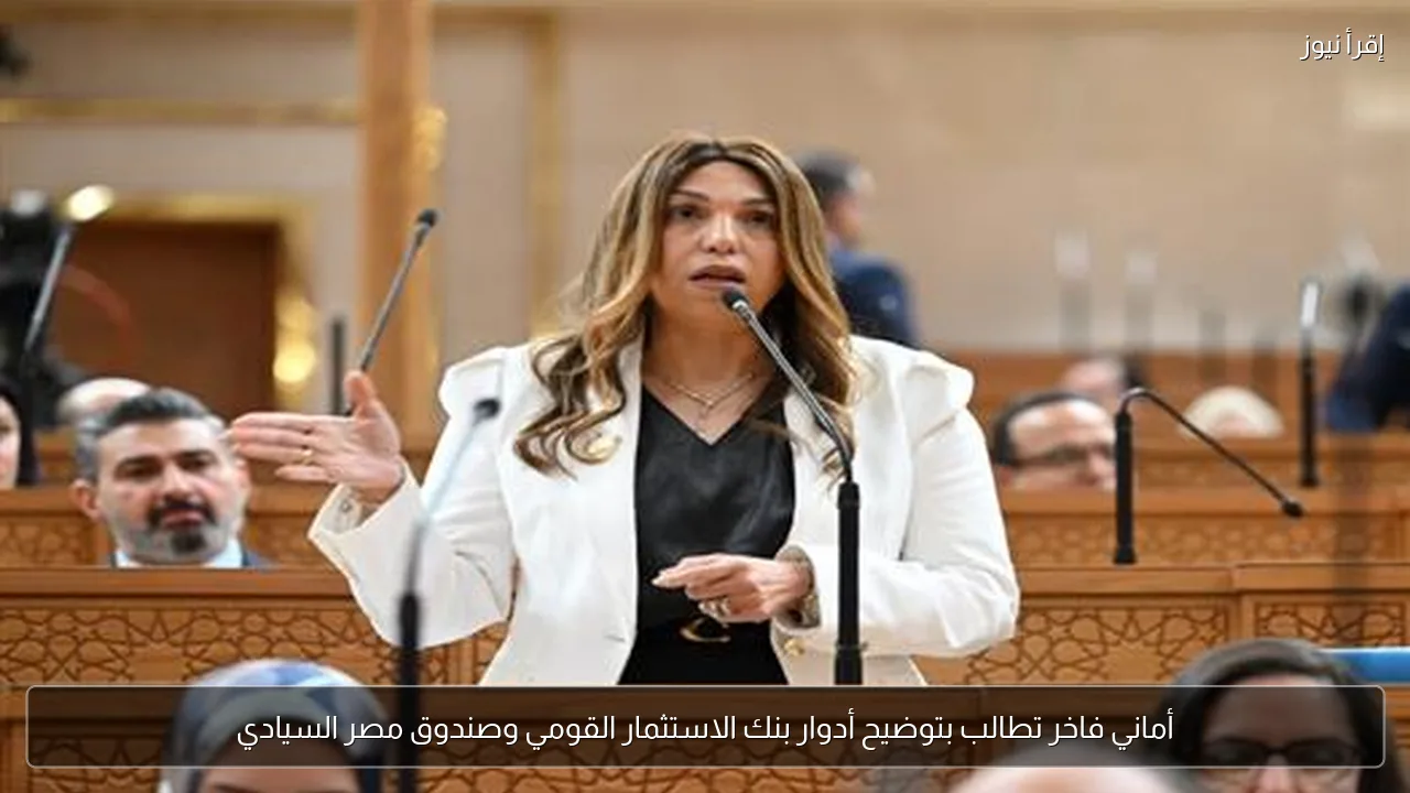 أماني فاخر تطالب بتوضيح أدوار بنك الاستثمار القومي وصندوق مصر السيادي
