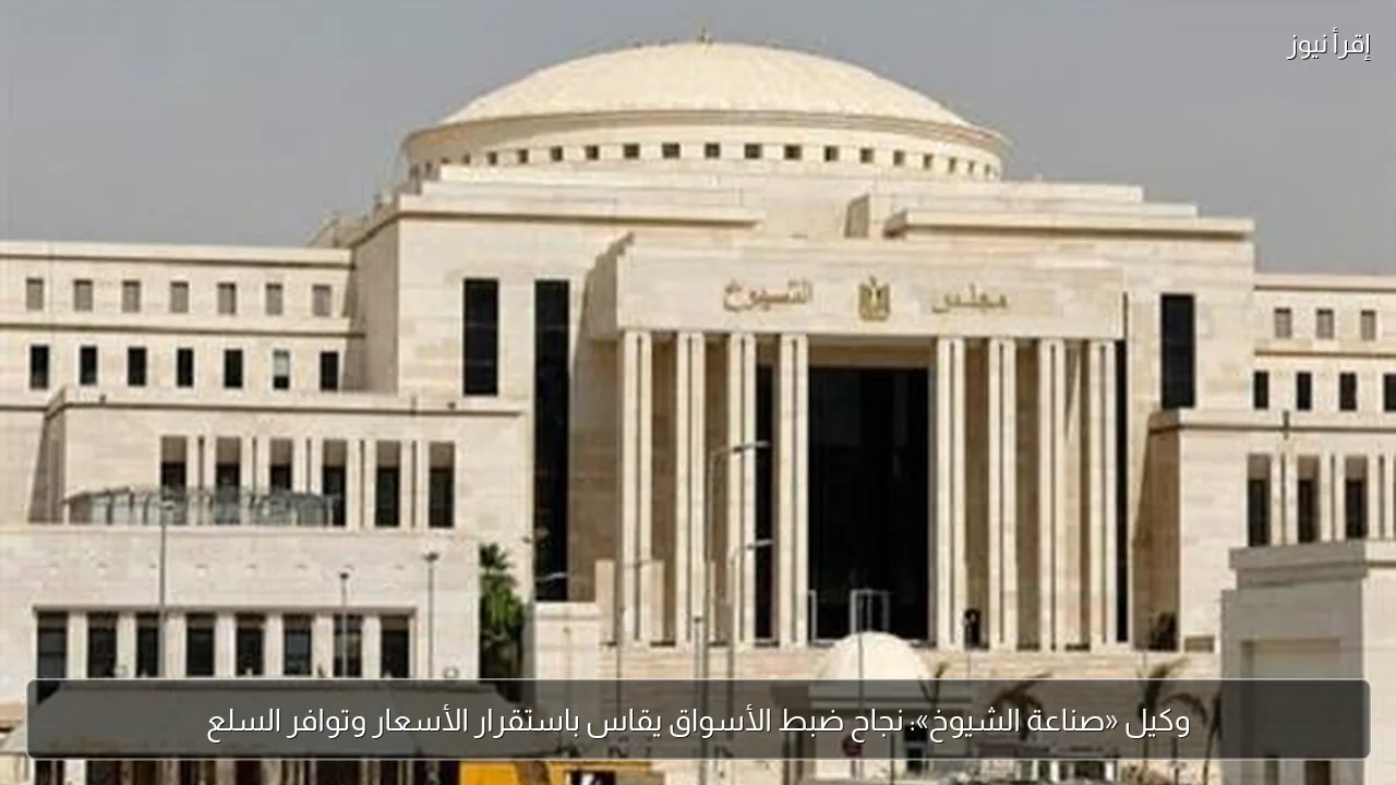 وكيل «صناعة الشيوخ»: نجاح ضبط الأسواق يقاس باستقرار الأسعار وتوافر السلع