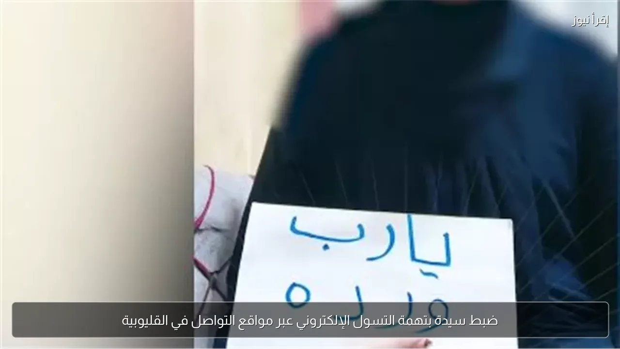ضبط سيدة بتهمة التسول الإلكتروني عبر مواقع التواصل في القليوبية