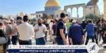 الاحتلال يوسع استهداف الأقصى.. حملة لتجنيد متطوعين في وحدة تأمين اقتحامات المسجد المبارك