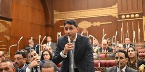 برلماني: مؤسسات المجتمع المدني شريك أساسي في دعم المنظومة الصحية وتوفير الرعاية للأطفال