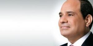 نائب: لقاء الرئيس السيسي بنظيره الإريتري يعكس قوة الدور المصري