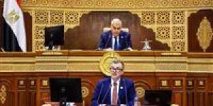 وزير التخطيط: خطة التنمية الاقتصادية والاجتماعية تأتي في ظل مشهد عالمي وإقليمي بالغ التعقيد
