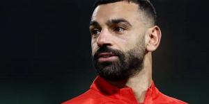 محمد صلاح يعود لتشكيل منتخب مصر الأساسي أمام بلجيكا.. وحسام حسن يدرس تغيير الخطة