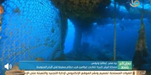 ظهور نادر لسمكة قرش بيضاء ضخمة في البحر المتوسط|تفاصيل