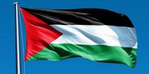 خارجية الشيوخ: استضافة القاهرة للفصائل الفلسطينية تؤكد ريادة مصر في جهود التهدئة