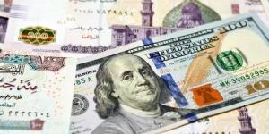 سعر الدولار في مصر اليوم الأربعاء 10-6-2026