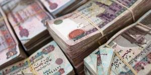 أزمة التأمينات أمام البرلمان.. اعرف مصير تعويضات أصحاب المعاشات