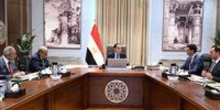 رئيس الوزراء يعرض الصورة النهائية لمبادرة تركيب الألواح الشمسية على مجلس الوزراء