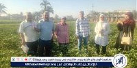 مديرية الزراعة تطلق الدفعة الأولى من طفيل "التريكوجراما" لمكافحة الآفات بمركز سنورس