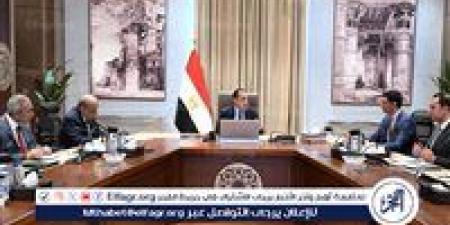 عاجل ـ مدبولي يكلف بعرض الصورة النهائية لمبادرة تشجيع تركيب الواح الطاقة الشمسية في المصانع والمنازل على مجلس الوزراء