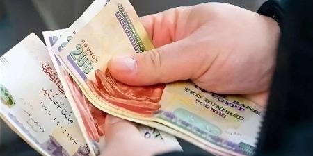 فخري الفقي: يجب ربط قيمة الدعم بالمؤشرات السعرية للسلع بما يحافظ على القوة الشرائية