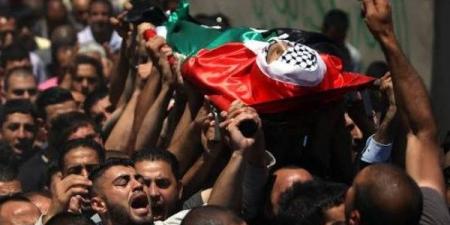 خبير: التحركات المصرية الدبلوماسية والإنسانية تجاه فلسطين مستمرة بلا توقف