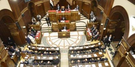 برلماني: خطة التنمية الجديدة تدعم بناء اقتصاد قوي وزيادة الاستثمارات في الصحة والتعليم والصناعة
