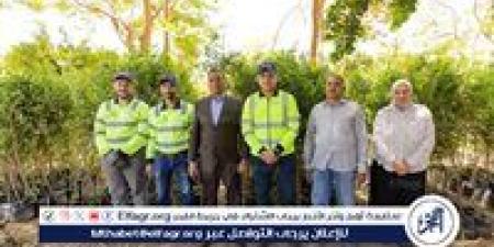 محافظ أسيوط: تشجير شوارع وميادين مركز أسيوط لتحسين البيئة