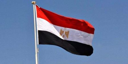 الشحات: مصر تواصل ترسيخ مكانتها كشريك موثوق للدول الإفريقية